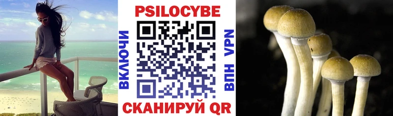 Галлюциногенные грибы мухоморы  Купить  Орехово-Зуево 